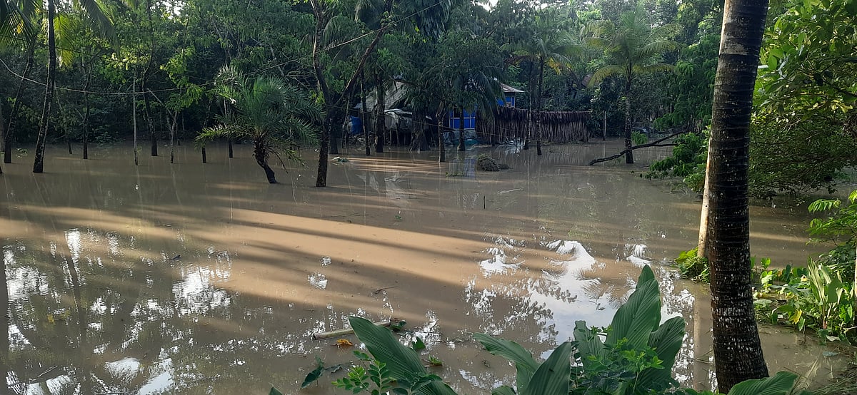 এখনো জোয়ারের পানিতে প্লাবিত হচ্ছে ভোলার শিবপুর ও ধনিয়া ইউনিয়নের বাঁধের বাইরের লোকালয়, খেত, বাগান আর জলাশয়। মঙ্গলবার বিকেলে সদর উপজেলার শিবপুর কালিকীর্তি গ্রামে