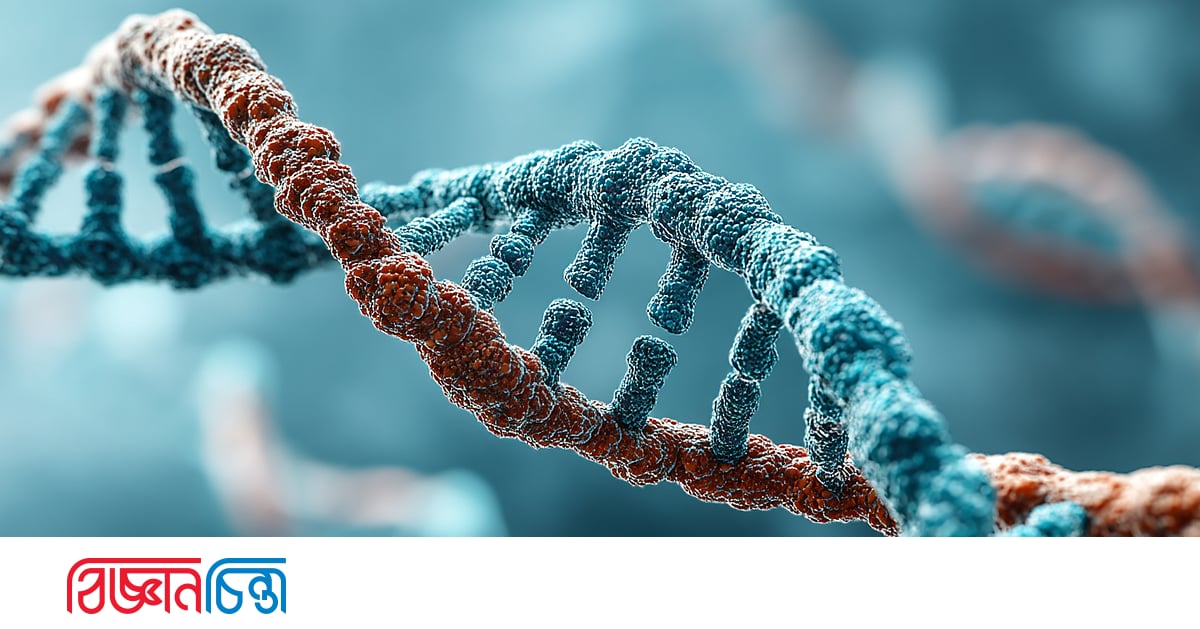 Marganetsda jinsiy aloqa xizmatlari Yosh qizlar fotomodellari yalangoch fotosuratlar