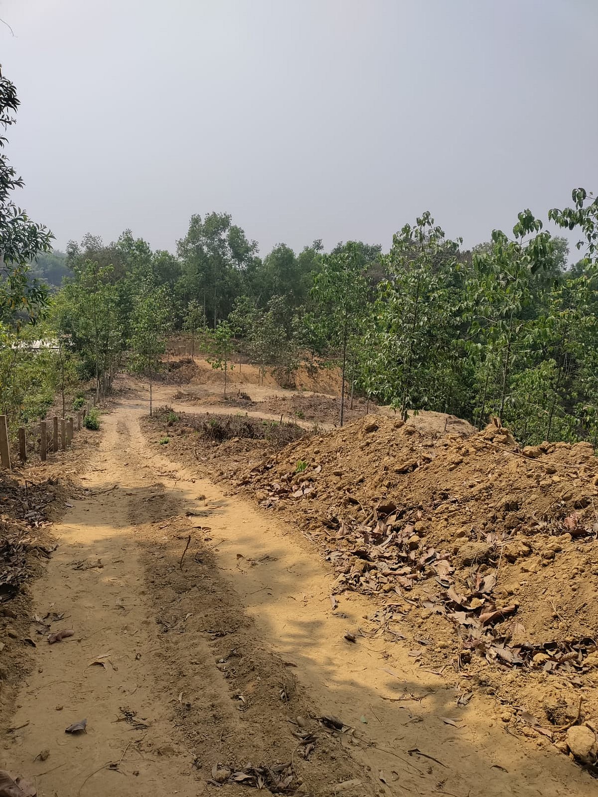 বান্দরবানে পরিবেশ অধিদপ্তরের অনুমোদন ছাড়া পাহাড় কাটার দায়ে কোয়ান্টাম ফাউন্ডেশনকে ৫৫ লাখ টাকা জরিমানা করা হয়েছে। ২৮ মার্চ পরিদর্শনে গেলে বিষয়টি অধিদপ্তরের নজরে আসে