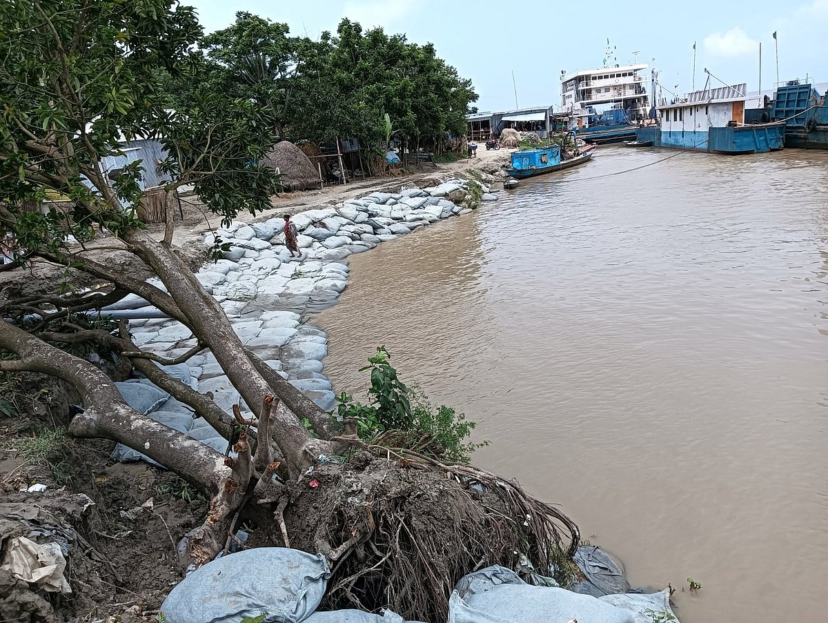 ভাঙনের ঝুঁকিতে দৌলতদিয়ার ৭ নম্বর ফেরিঘাট এলাকা। গতকাল বুধবার দুপুরে