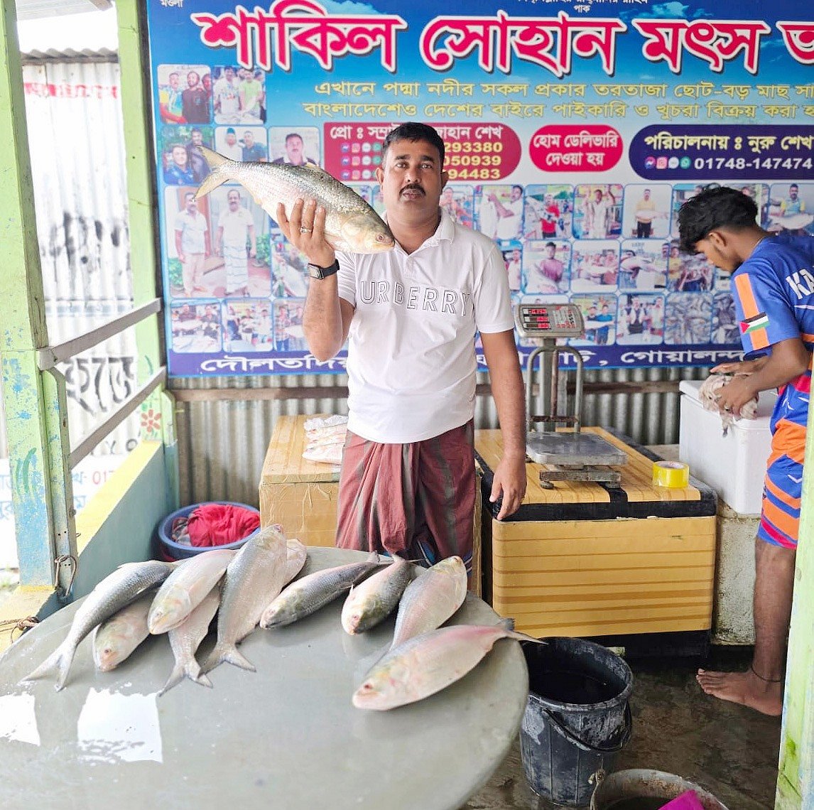 পদ্মা নদী থেকে ধরা ২ কেজি ৪৩০ গ্রাম ওজনের ইলিশটি বিক্রি হয়েছে ১২ হাজার ৬০০ টাকায়