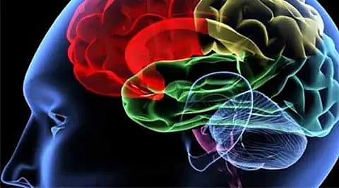 অতিরিক্ত তাপ আমাদের মস্তিষ্কের কার্যকারিতায় পরিবর্তন আনছে