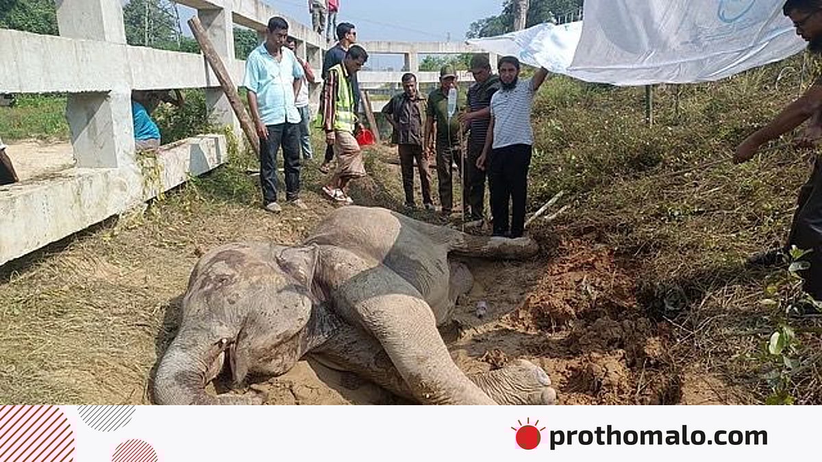 Uxlayotgan odamlarning yashirin kamerali seks videosi Rus talaba gangang porno