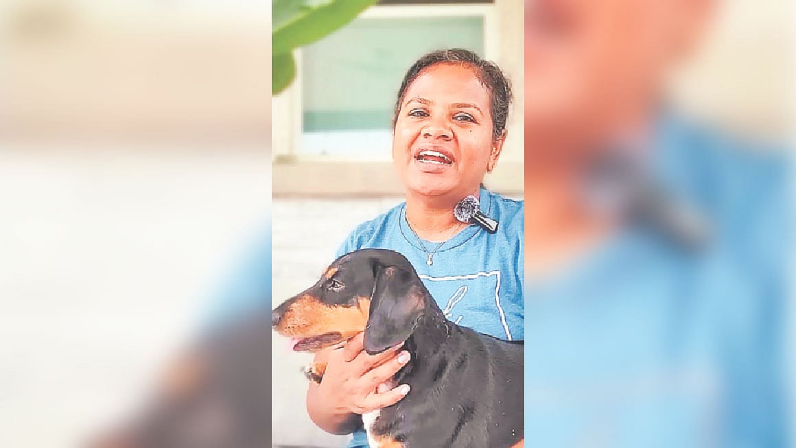 জেরি নামের সেই পোষা কুকুর