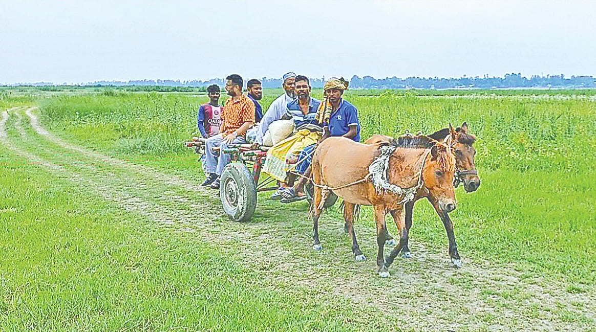 ঘোড়ার গাড়িতে যমুনার চরপেঁচাকোলায় যাত্রা করেছেন স্থানীয় বাসিন্দারা
