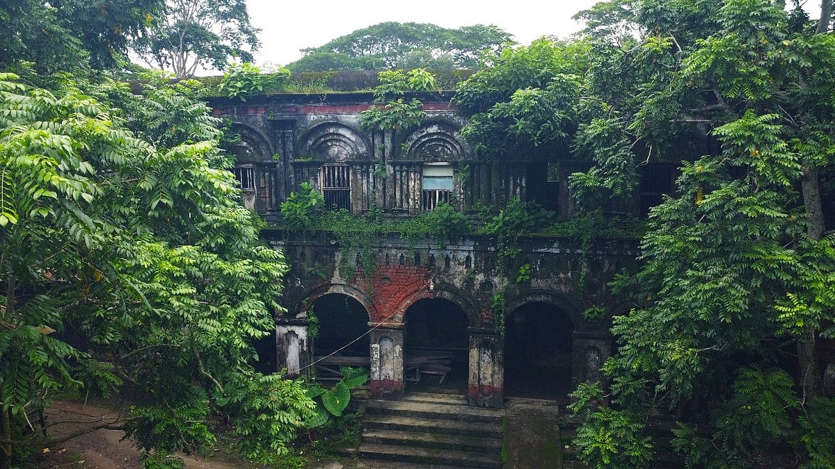 গাছপালা আর নীরবতার আবরণে ঘেরা বাড়িটি প্রকৃতির সঙ্গে লুকোচুরি খেলে দাঁড়িয়ে আছে। বরগুনার আমতলী উপজেলার ঘোপখালী গ্রামে