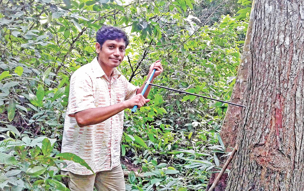 ২০২১ সালে তথ্য সংগ্রহের উদ্দেশ্যে হবিগঞ্জের রেমা কালেঙ্গা বনে গবেষক মিজানুর রহমান