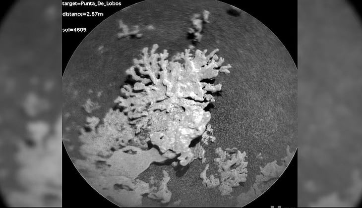 এই শিলার বয়স ১০০ কোটি বছর হতে পারে