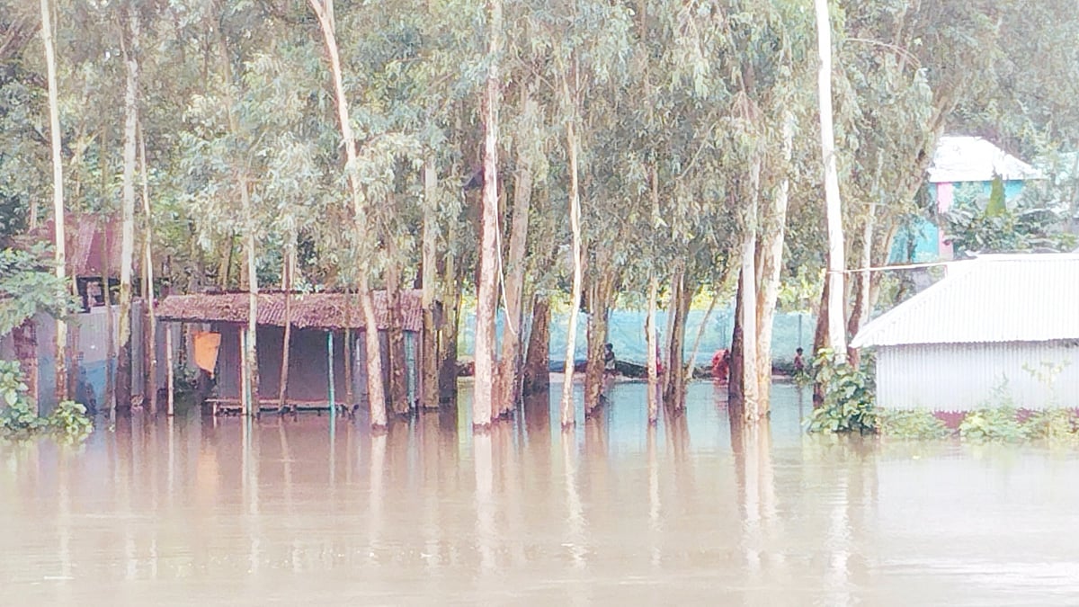 বগুড়ার শেরপুরে করতোয়া নদীর পানি উপচে ঢুকে পড়ছে বসতবাড়িতে। আজ রোববার ছোট ফুলবাড়ী গ্রামে