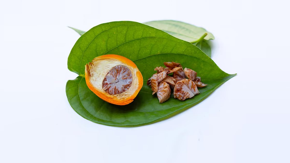 বিয়ে উৎসব, অতিথি আপ্যায়নেও পান–সুপারির আয়োজনকে সৌজন্য হিসেবে গণ্য করা হয়