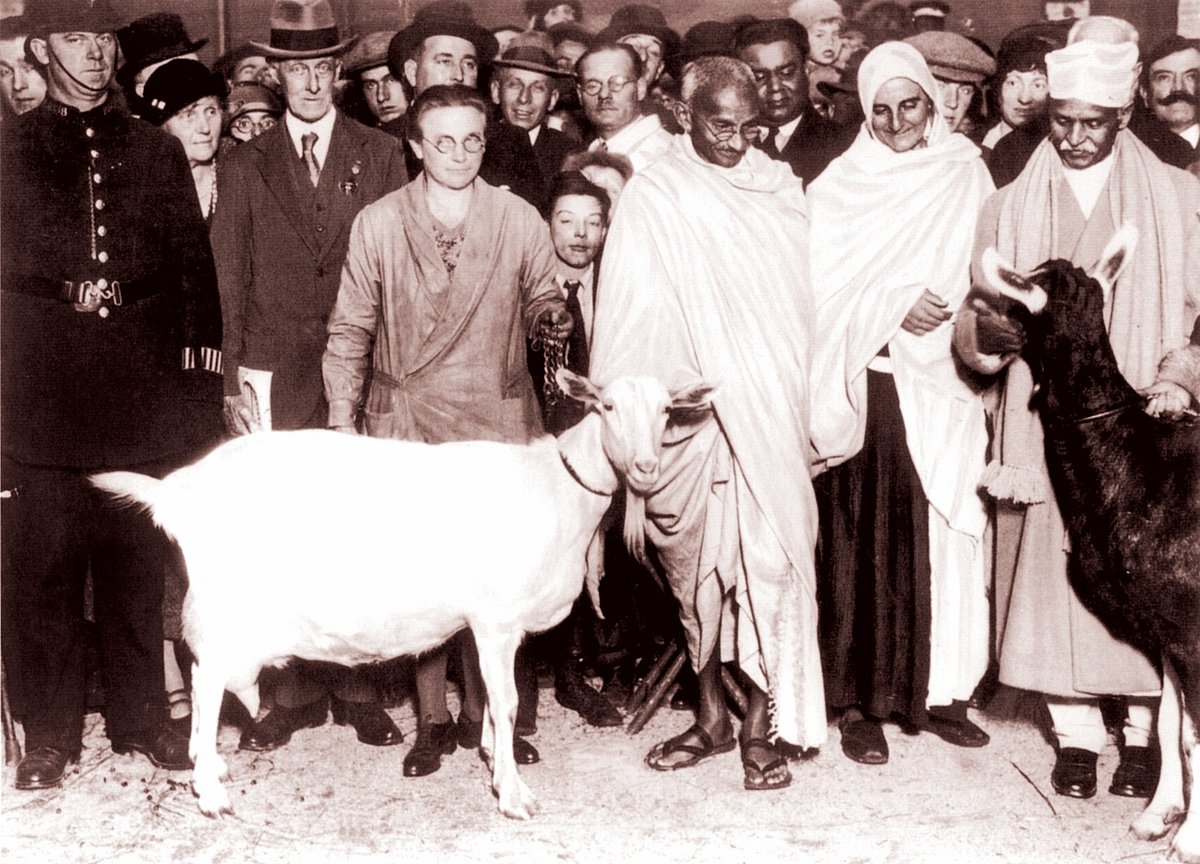 ১৯৩১ সালের ২৩ অক্টোবর যুক্তরাজ্যের লন্ডনের একটি গবাদিপশু প্রদর্শনীতে মহাত্মা গান্ধী