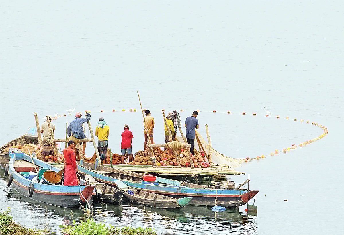 কাপ্তাই হ্রদে মাচাং তৈরি করে জাল ফেলে কাচকি মাছ আহরণ করছেন জেলেরা। গতকাল সকালে রাঙামটির বাঁকছড়ি মুখ এলাকায়