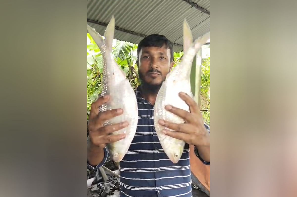 শঙ্খ নদে জেলেদের জালে ধরা পড়া দুটি ইলিশ কিনেছেন এক ক্রেতা। সম্প্রতি আনোয়ারার বরুমছড়া এলাকা থেকে তোলা