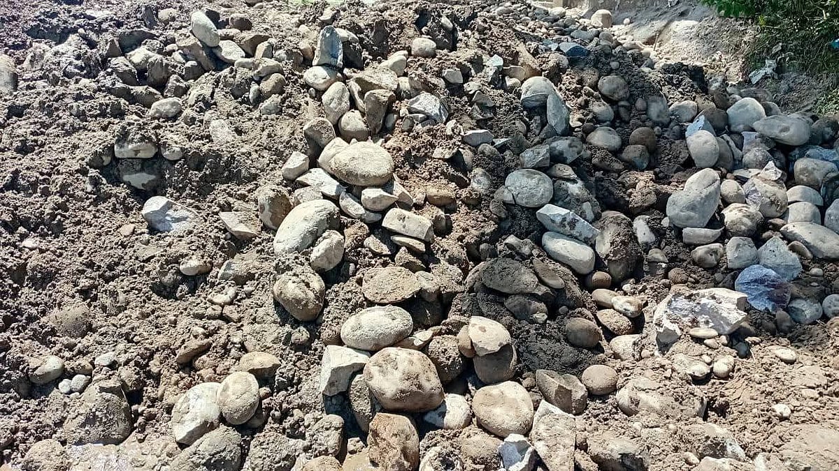 ‌সিলেট সদর উপজেলার ধোপাগুল–সংলগ্ন সালুটিকর ভাটা এলাকায় মা‌টিচাপা দেওয়া অবস্থায় ১১ হাজার ঘনফুট পাথর উদ্ধার করা হয়। রোববার সকালে