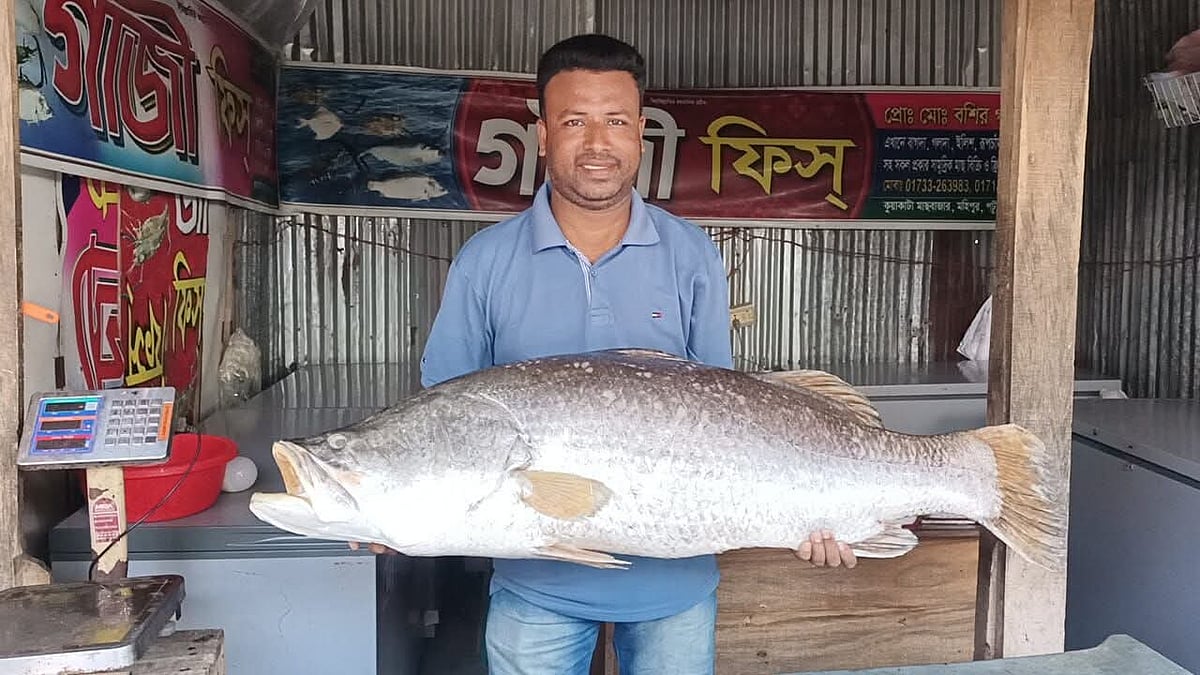 বঙ্গোপসাগর থেকে ২৪ কেজি ওজনের কোরাল মাছটি ধরা পড়ে জেলে আল আমীনের জালে। আজ মঙ্গলবার