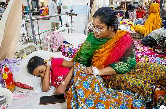 এবারের মৌসুমে ডেঙ্গু রোগির সংখ্যা বেড়েছে