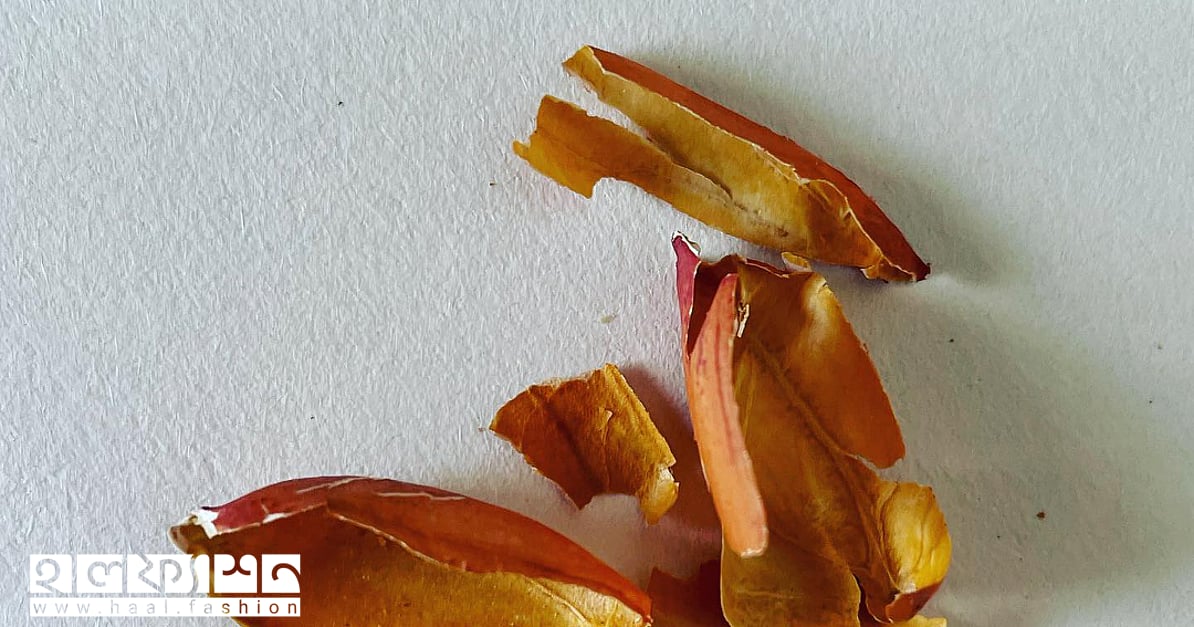 Mashhur Pugachevaning jinsiy pornosi Abxaziya porno video