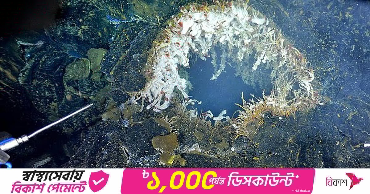 Chiroyli joja bilan it uslubidagi porno Ayollar pulemyotga oxshaydi