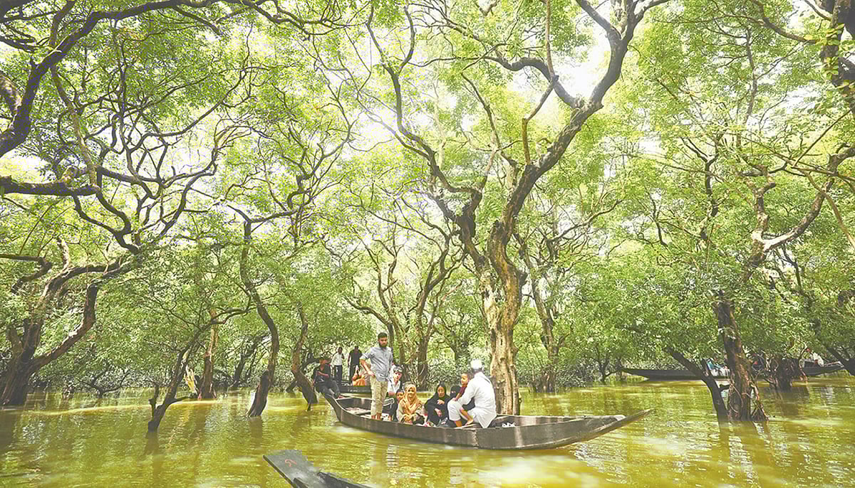 সিলেটের গোয়াইনঘাট উপজেলার রাতারগুল জলাবন নৌকা নিয়ে ঘুরে দেখছেন প্রকৃতিপ্রেমীরা। বুধবার দুপুরে