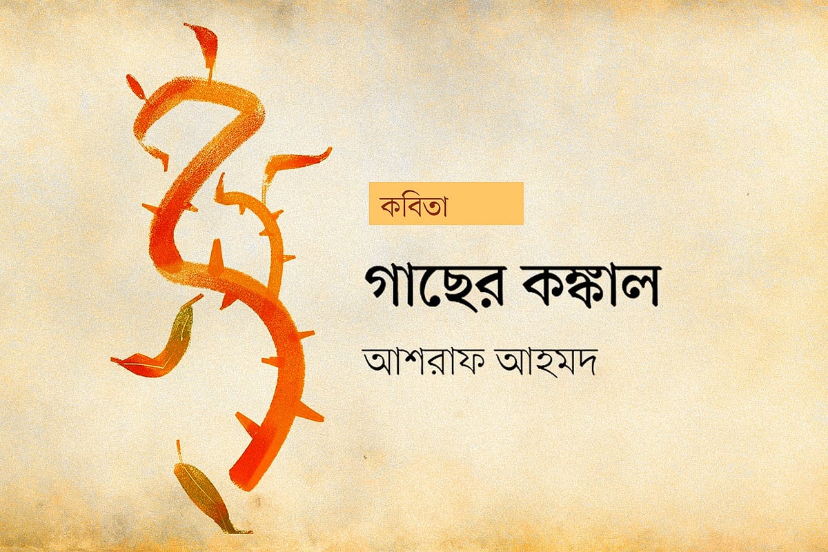 অলংকরণ: আরাফাত করিম