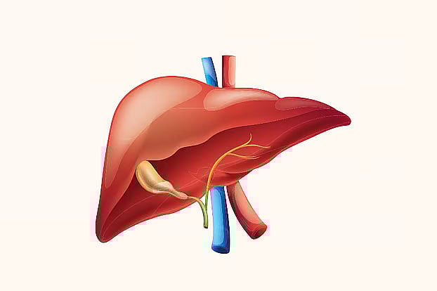 প্রতীকী ছবি