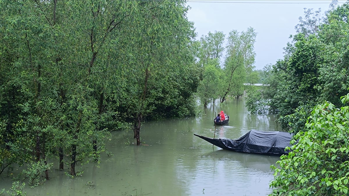সুন্দরবনের শাকবাড়িয়া নদীতীরের কেওড়া বন। খুলনার কয়রার পাথরখালী গ্রামসংলগ্ন এলাকায়