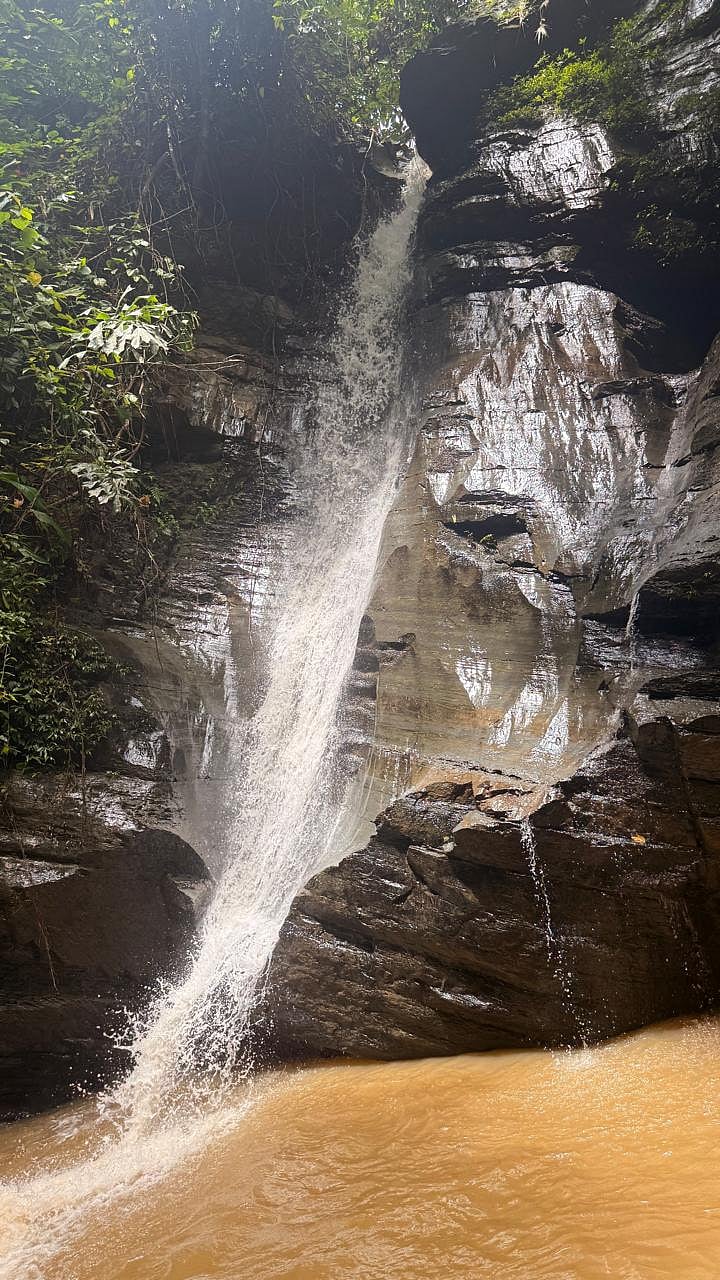 তোজেংমা ঝরনা। সম্প্রতি তোলা