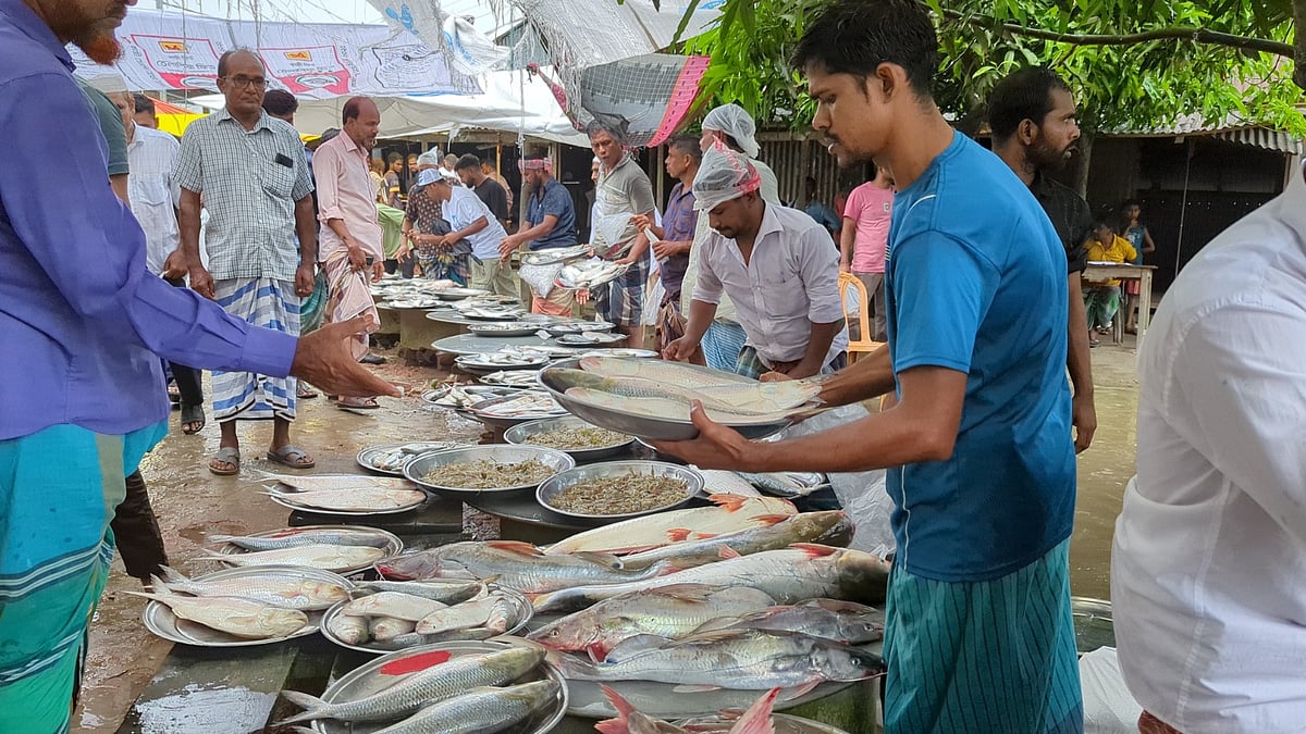 পদ্মা নদীর তীরে জমে ওঠা মাছের বাজার। শনিবার বিকেলে শরীয়তপুরের জাজিরা উপজেলার পালেরচর বাজারে
