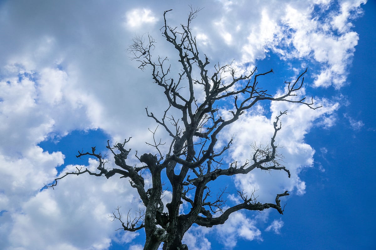 Jinsiy aloqa mashinasidan porno orgazm