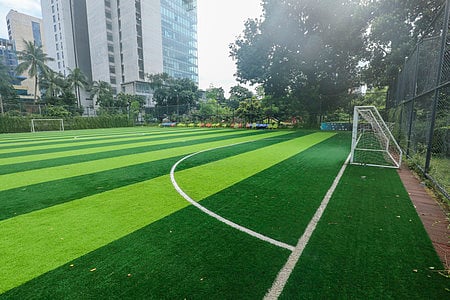 পার্কের উন্মুক্ত স্থান নষ্ট করে বানানো হয়েছে কৃত্রিম মাঠ (আর্টিফিশিয়াল টার্ফ)। যেখানে সর্বসাধারণের প্রবেশাধিকার নেই। সম্প্রতি রাজধানীর গুলশানে শহীদ তাজউদ্দীন আহমদ স্মৃতি পার্কে