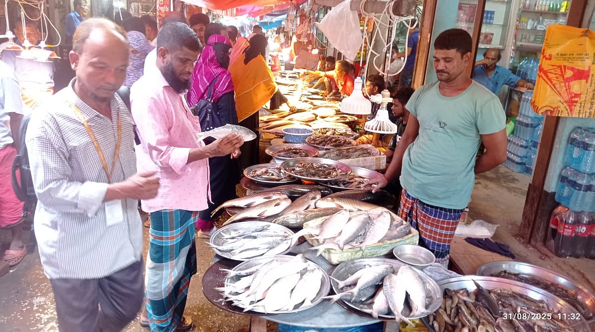 বাজারে বড় ও মাঝারি আকারের ইলিশের দাম বেশি। দাম কম থাকায় ছোট ইলিশের বেচাকেনা ভালো। রোববার সকালে চাঁদপুরের মতলব দক্ষিণ উপজেলা সদর বাজারে