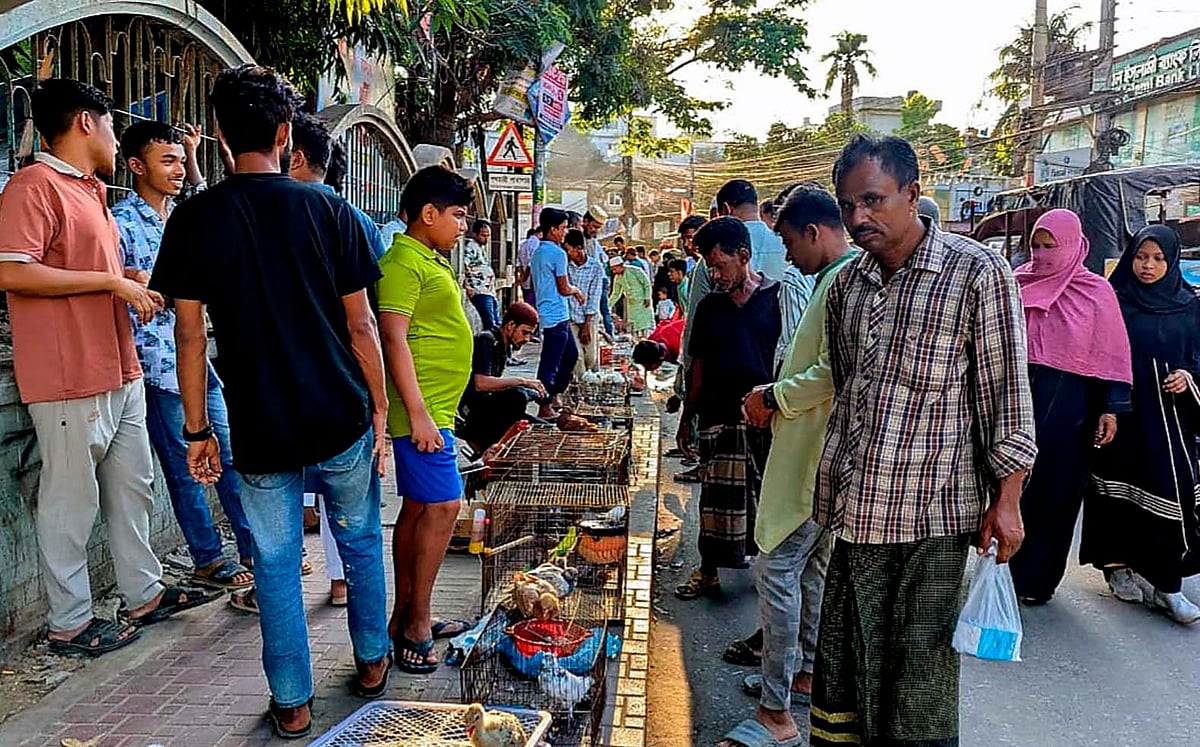 কক্সবাজারে প্রতি শুক্রবার থানা রাস্তার মোড়ে বসে পাখির বাজার। শহরের শৌখিন পাখিপ্রেমীরা ভিড় করেন পাখি কিনতে। গত শুক্রবার বিকেলে