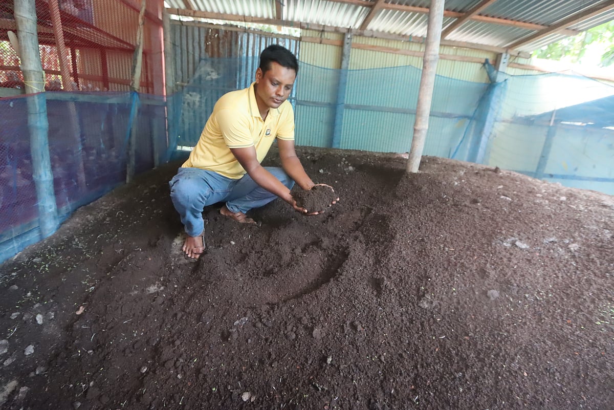 জৈবসার প্রস্তুত করছেন উদ্যোক্তা মামুনুর রশিদ। সম্প্রতি তোলা।