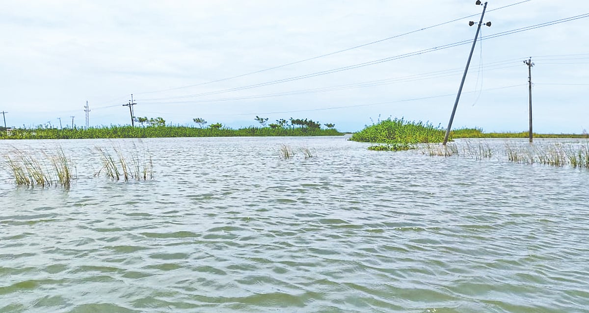 সিলেট-সুনামগঞ্জ সড়কের উত্তরে সুনামগঞ্জ জেলার দ্বিতীয় বৃহত্তম দেখার হাওরের এ অংশে স্থায়ী ক্যাম্পাস করতে চায় সুনামগঞ্জ বিজ্ঞান ও প্রযুক্তি বিশ্ববিদ্যালয় কর্তৃপক্ষ। সম্প্রতি তোলা