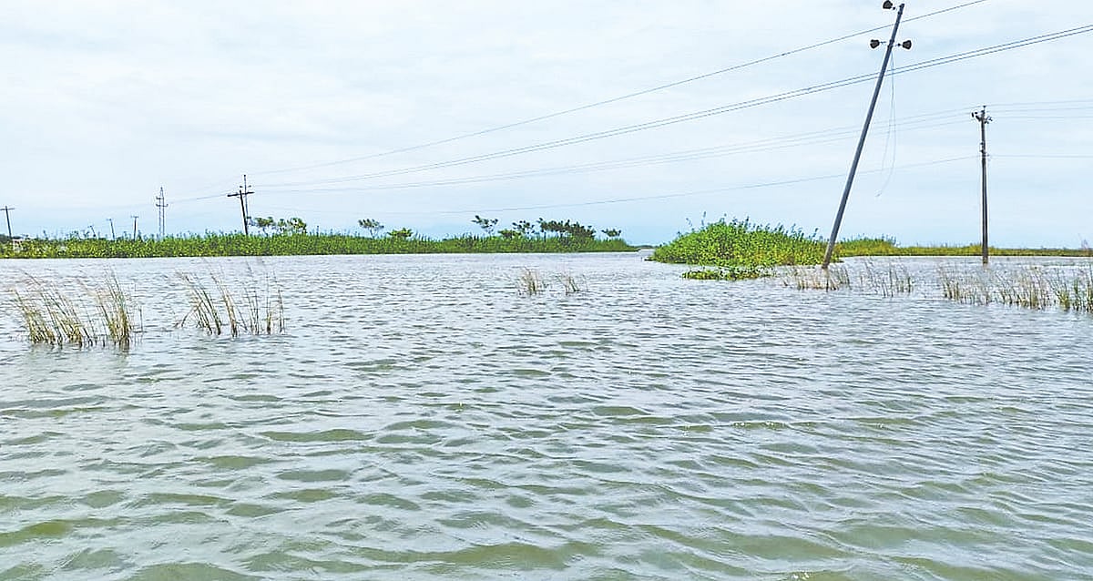 সিলেট-সুনামগঞ্জ সড়কের উত্তরে সুনামগঞ্জ জেলার দ্বিতীয় বৃহত্তম দেখার হাওরের এ অংশে স্থায়ী ক্যাম্পাস করতে চায় সুনামগঞ্জ বিজ্ঞান ও প্রযুক্তি বিশ্ববিদ্যালয় কর্তৃপক্ষ। সম্প্রতি তোলা