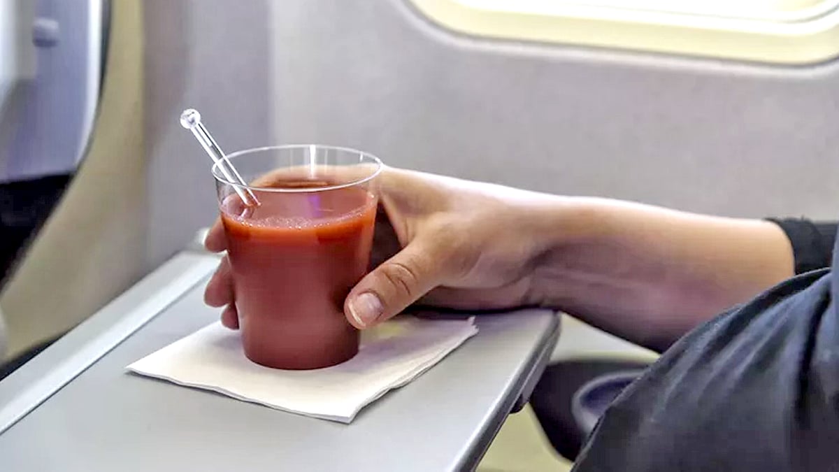 গবেষকেরা নিশ্চয়তা দিয়ে বলছেন, উড়োজাহাজে টমেটোর জুসের স্বাদ নাকি মুখে লেগে থাকে বহুদিন