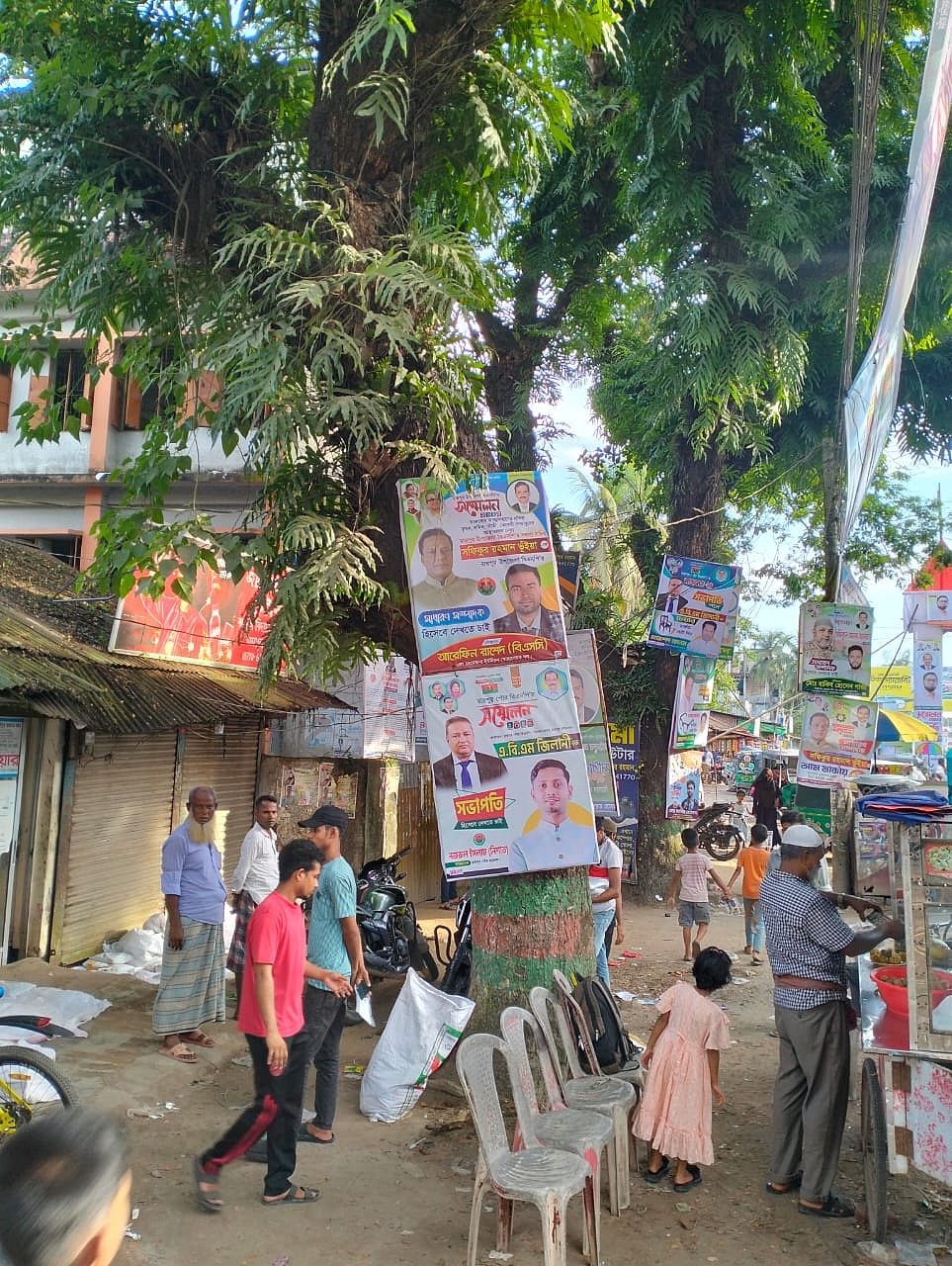 গাছে পেরেক ঠুকে টাঙানো হয়েছে রাজনৈতিক দলের নেতাদের ফেস্টুন। গতকাল দুপুরে রায়পুর শহরের বালিকা বিদ্যালয়ের সামনে