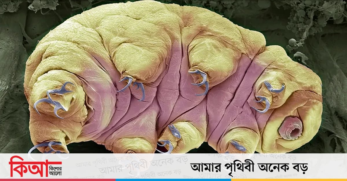 Mening sikim juda katta Onam tozalash porno video