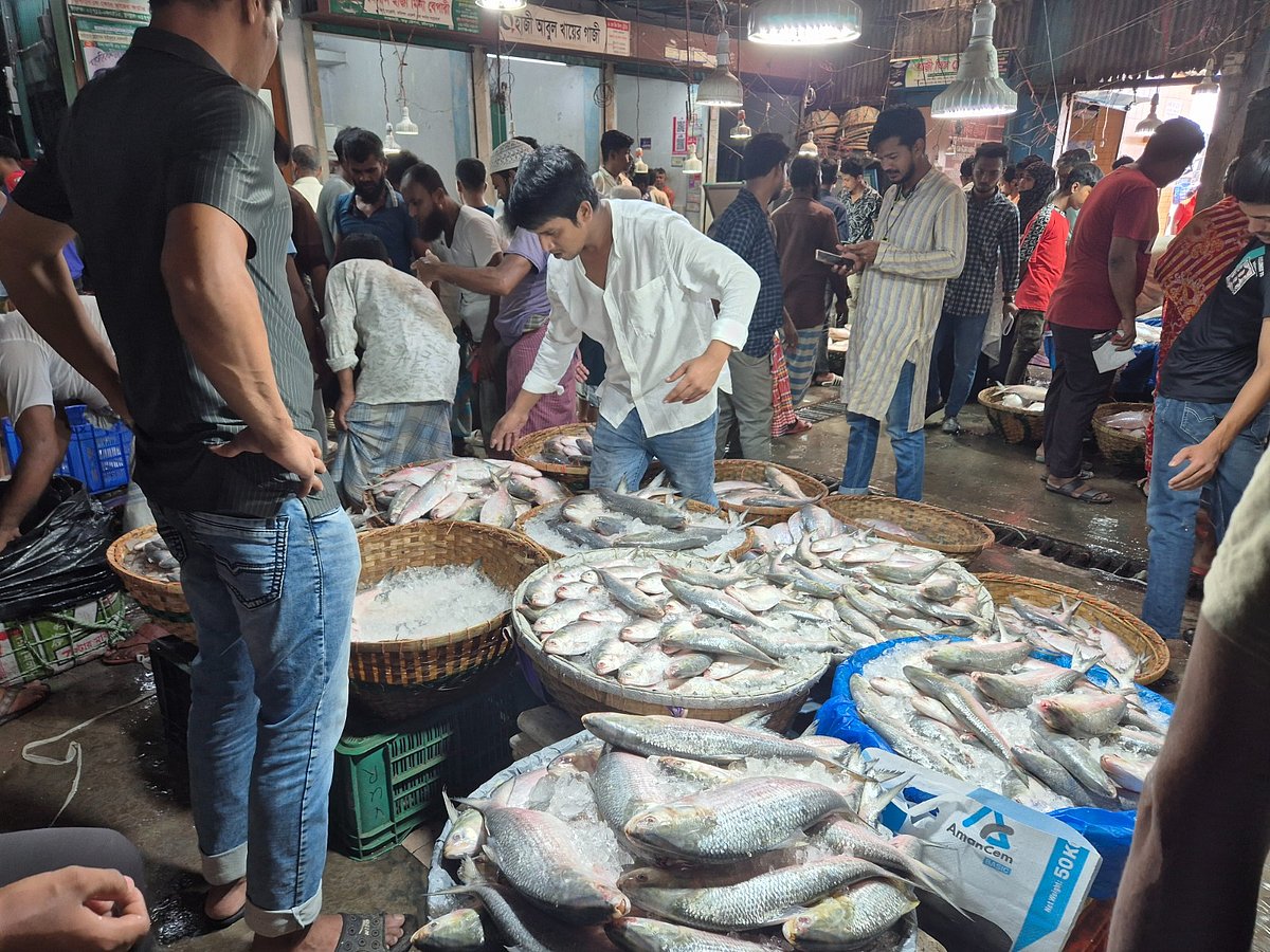 বাজারে ইলিশের সরবরাহ বেড়েছে। গতকাল দুপুর সাড়ে ১২টার দিকে চাঁদপুর বড় স্টেশন মাছঘাটে