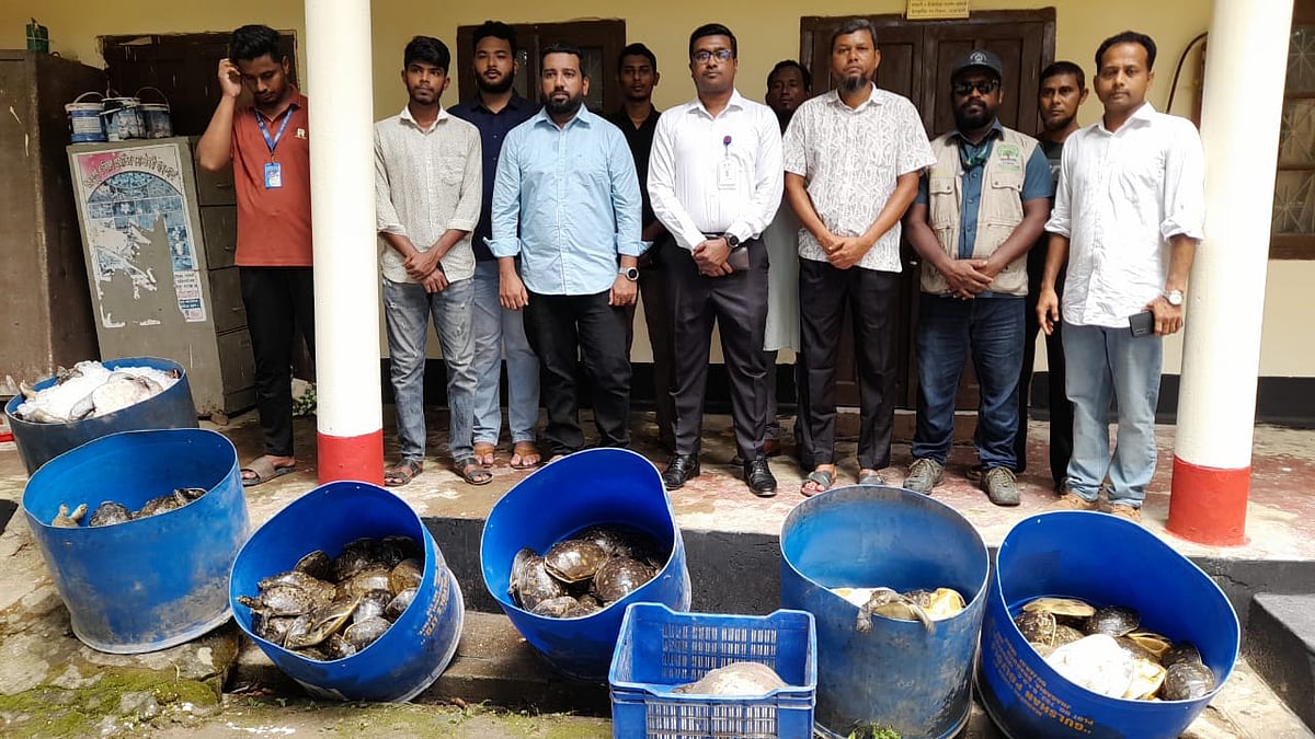 পাচারের উদ্দেশ্যে রাখা ৪২৫টি কচ্ছপ উদ্ধারের পর নিয়ে আসা হয় নোয়াখালীর উপকূলীয় বন বিভাগের কার্যালয়ে। আজ দুপুরে তোলা