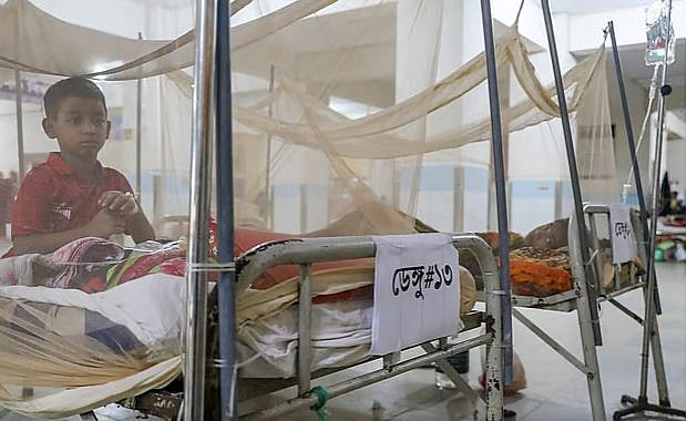 ডেঙ্গুতে আক্রান্ত রোগীদের মধ্যে শিশুর সংখ্যা অনেক।