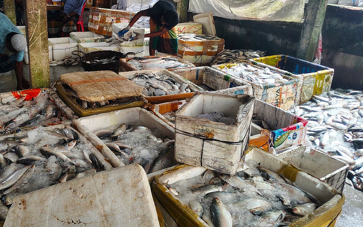 দেশের দ্বিতীয় বৃহত্তর মৎস্য বন্দর বরগুনার পাথরঘাটার বিএফডিসি অবতরণ কেন্দ্রে ইলিশের আমদানি অনেক কম। আজ মঙ্গলবার সকালে তোলা