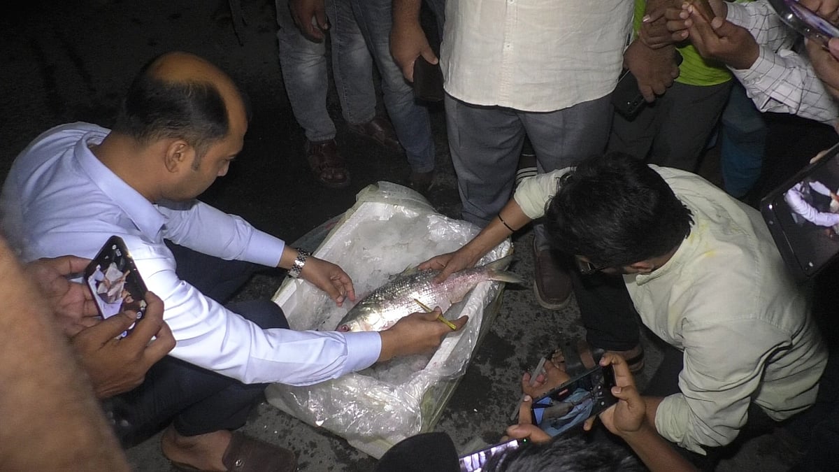 ভারতে পাঠানোর আগে পরীক্ষা করে দেখছেন মৎস্য বিভাগের কর্মকর্তারা। যশোরের বেনাপোল স্থল বন্দরে