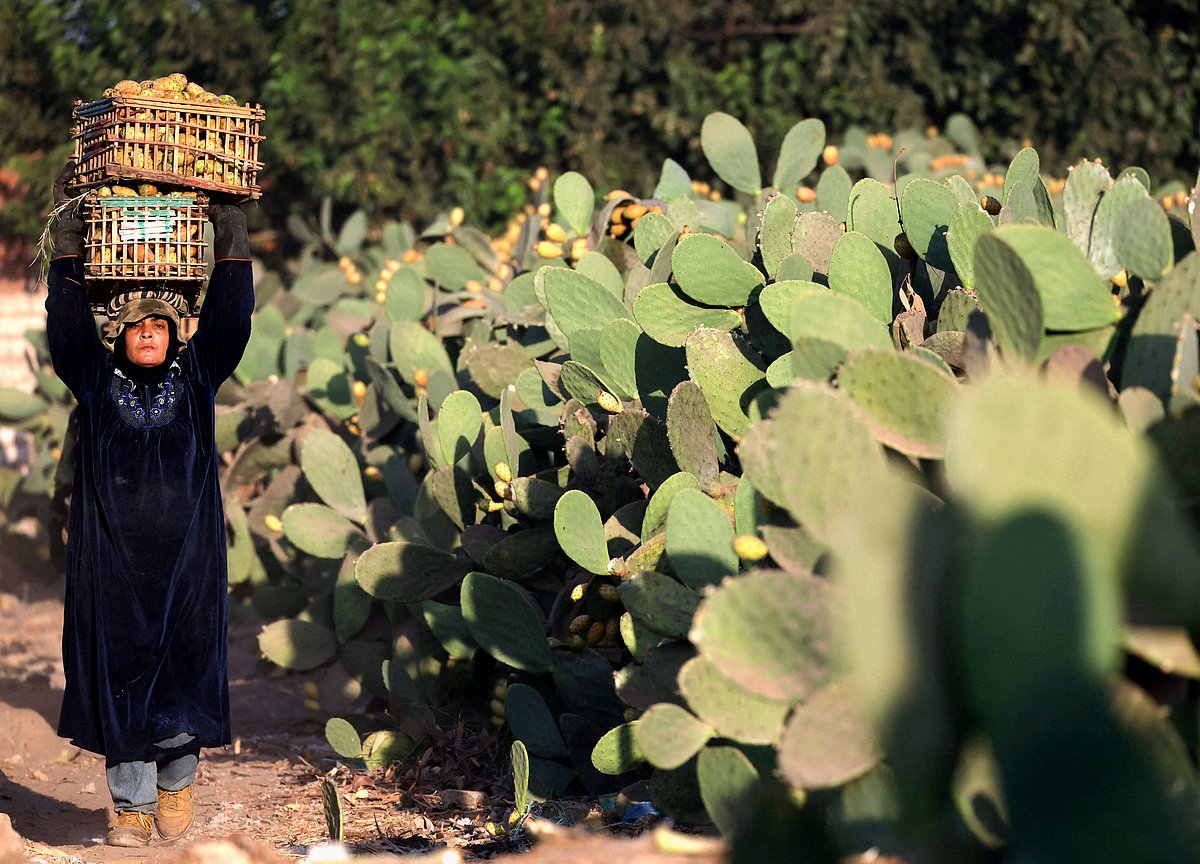 প্রতিটি সৎ কাজ, প্রতিটি পরিশ্রম আল্লাহর দৃষ্টিতে মূল্যবান