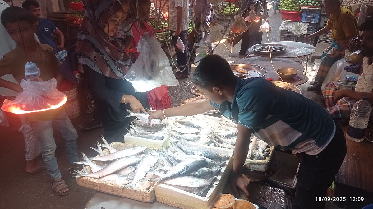 চাঁদপুরে ইলিশের দাম বেড়েছে কেজিতে ৩০০ টাকা। আজ বৃহস্পতিবার মতলব দক্ষিণ উপজেলা সদর মাছ বাজার