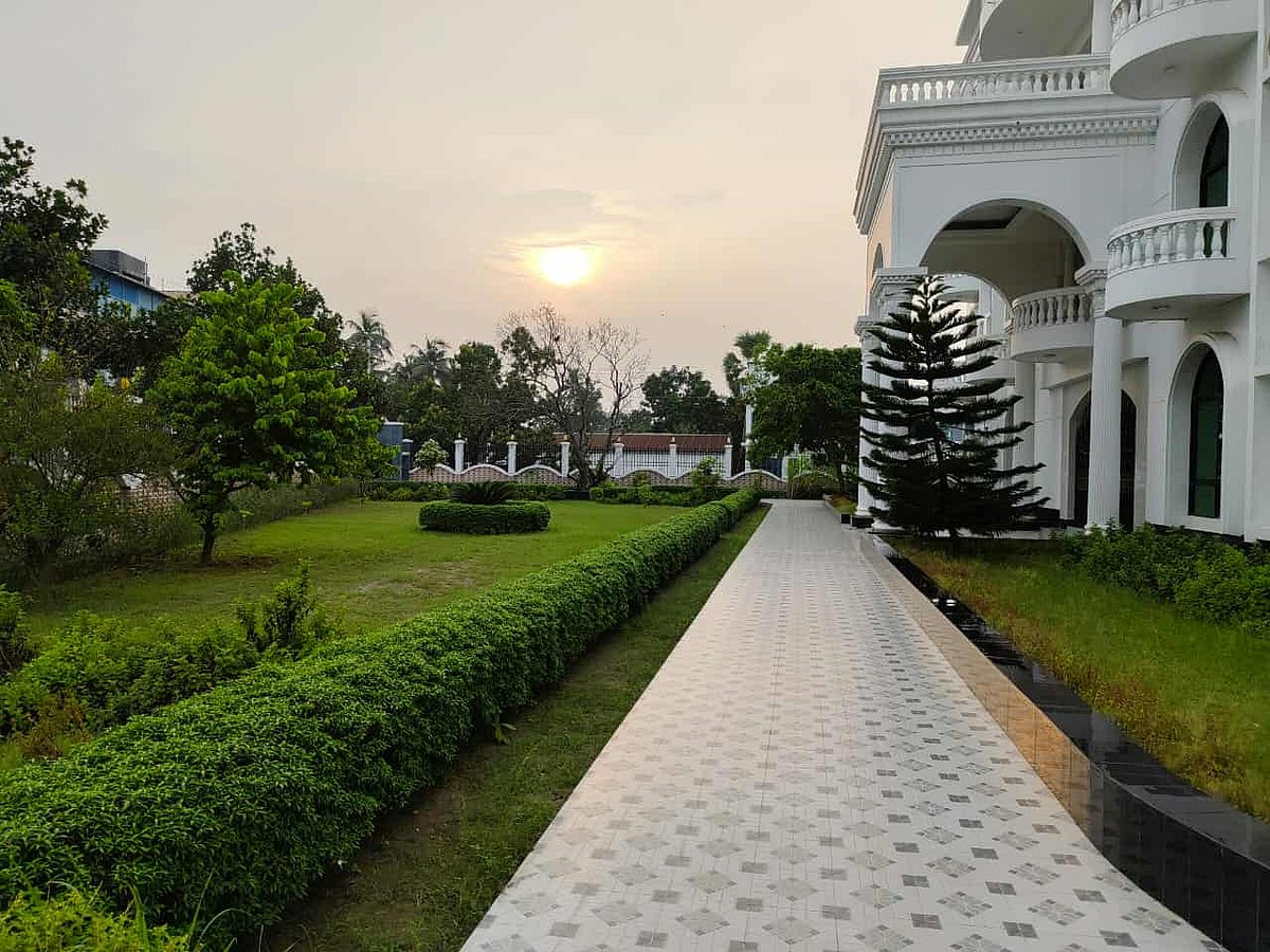 ‘প্যারেন্ট লজ’ নামের এই বাড়ি থেকে খোয়া গেছে মিয়াজাকি জাতের আমগাছ। গতকাল বিকেলে কুষ্টিয়ার কুমারখালী উপজেলার নন্দলালপুর ইউনিয়নের আলাউদ্দিননগরে