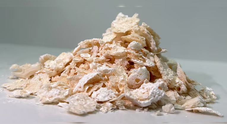 পরিবেশবান্ধব প্লাস্টিক উপাদান