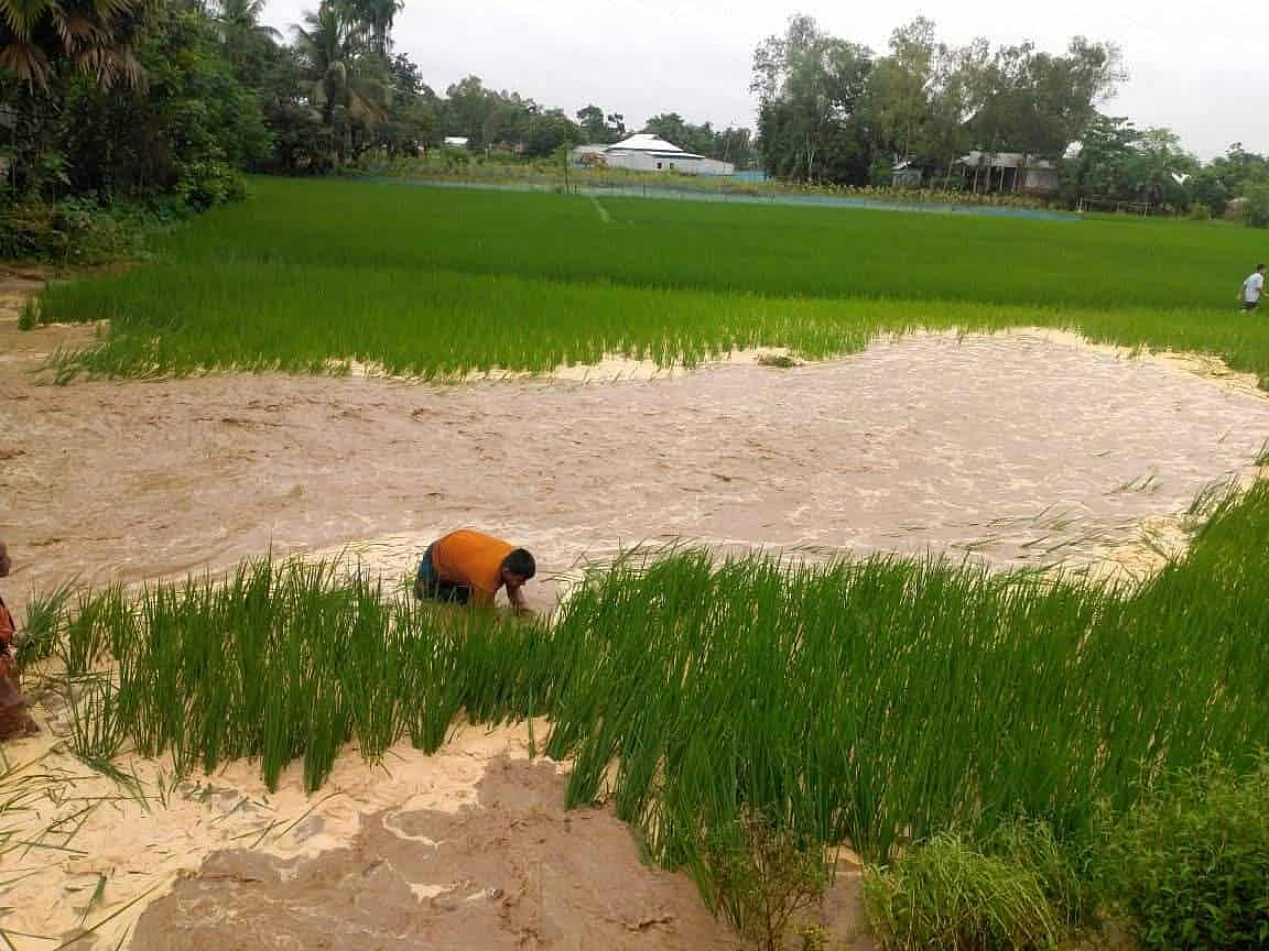পাহা‌ড়ি ঢ‌লে ঝিনাইগাতী উপ‌জেলার মহার‌শি নদীর দু‌টি স্থা‌নে ১৫০‌মিটার বাঁধ ভে‌ঙে যায়। ওই অংশ দি‌য়ে পা‌নি  প্রবেশ করে রোপা আমন প্লা‌বিত হয় । আজ শুক্রবার সকা‌লে