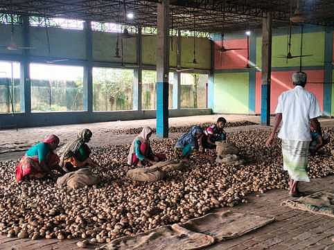 আলুর দাম না থাকায় বিপাকে পড়েছেন চাষিরা। ক্রেতা না পাওয়ায় হিমাগারের বারান্দায় এভাবে ফেলে রাখা হয়েছে আলু। গতকাল তারাগঞ্জের এন এন হিমাগারে