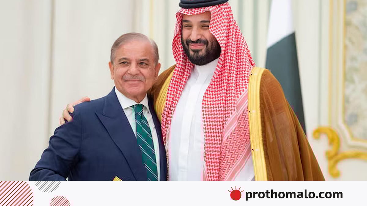 Vladikdagi fohishalar Porno jurnallar yuklab olish